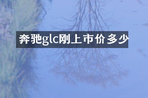 奔驰glc刚上市价多少