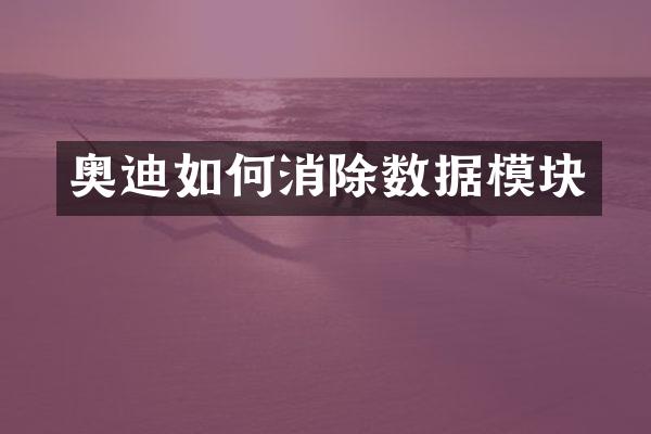 奥迪如何消除数据模块