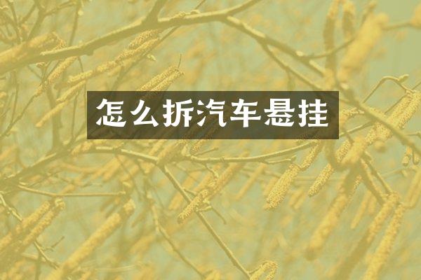 怎么拆汽车悬挂