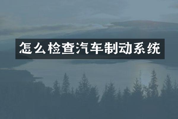 怎么检查汽车制动系统
