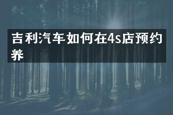 吉利汽车如何在4s店预约保养