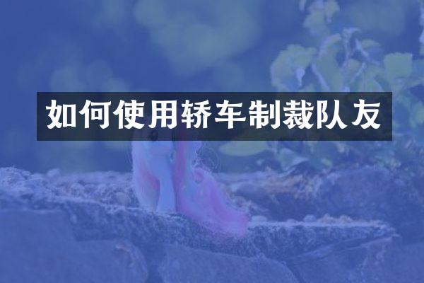 如何使用轿车制裁队友