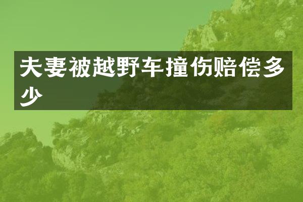 夫妻被越野车撞伤赔偿多少