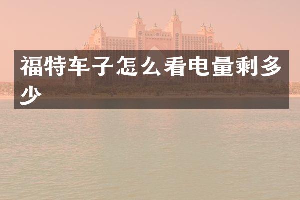 福特车子怎么看电量剩多少