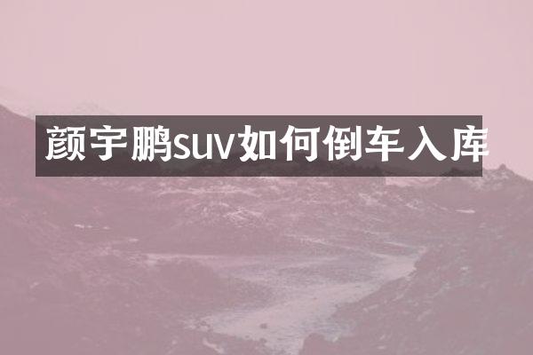 颜宇鹏suv如何倒车入库