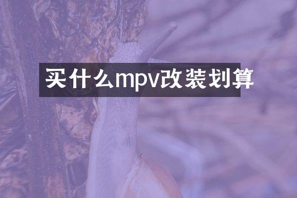 买什么mpv改装划算