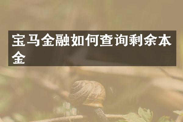 宝马金融如何查询剩余本金