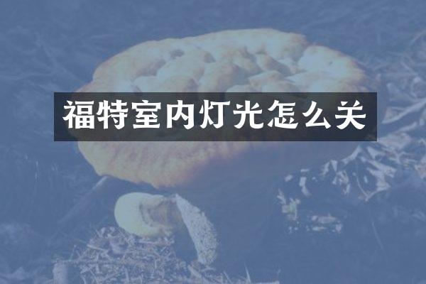 福特室内灯光怎么关