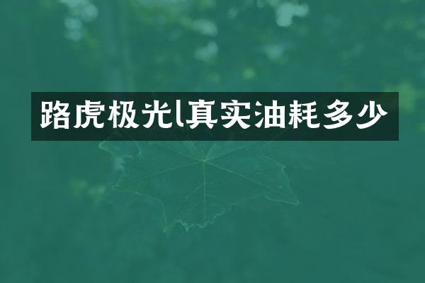 路虎极光l真实油耗多少