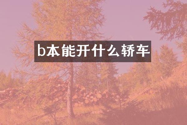 b本能开什么轿车