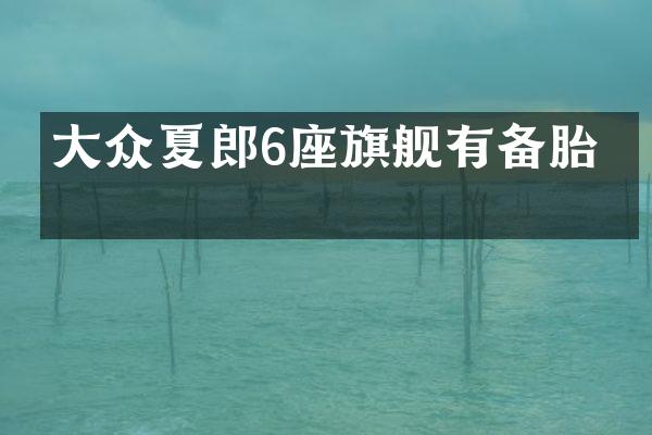 大众夏郎6座旗舰有备胎吗