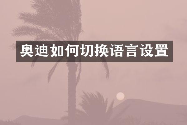奥迪如何切换语言设置