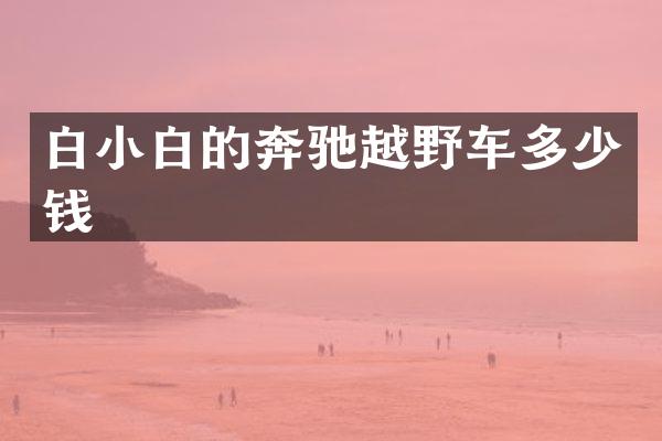 白小白的奔驰越野车多少钱