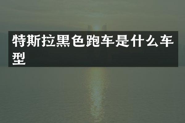 特斯拉黑色跑车是什么车型