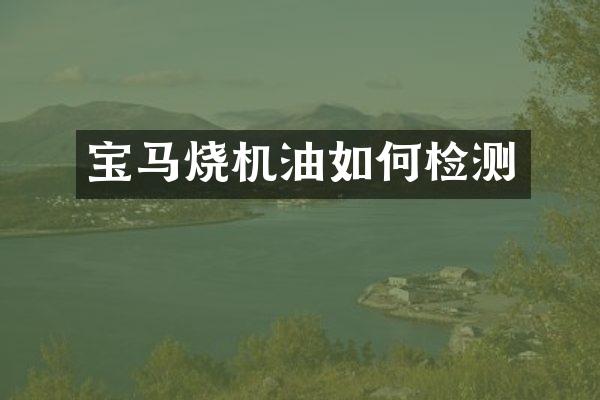 宝马烧机油如何检测
