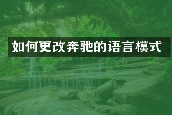 如何更改奔驰的语言模式