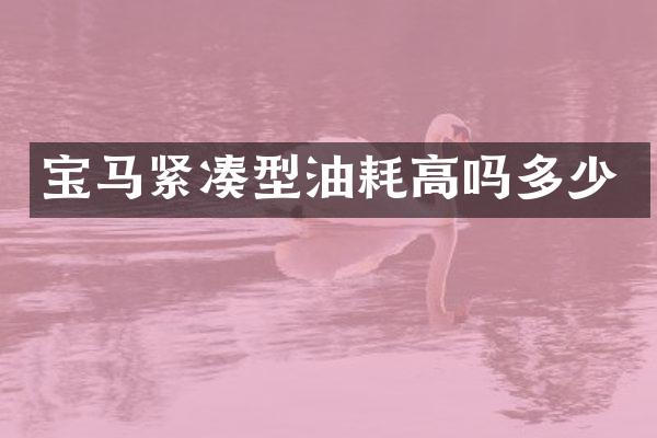 宝马紧凑型油耗高吗多少