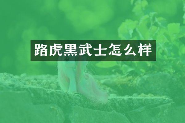 路虎黑武士怎么样