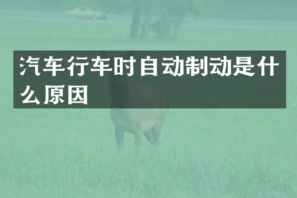 汽车行车时自动制动是什么原因