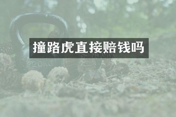 撞路虎直接赔钱吗