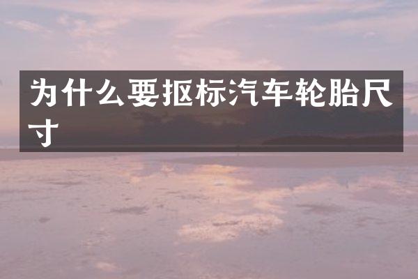 为什么要抠标汽车轮胎尺寸