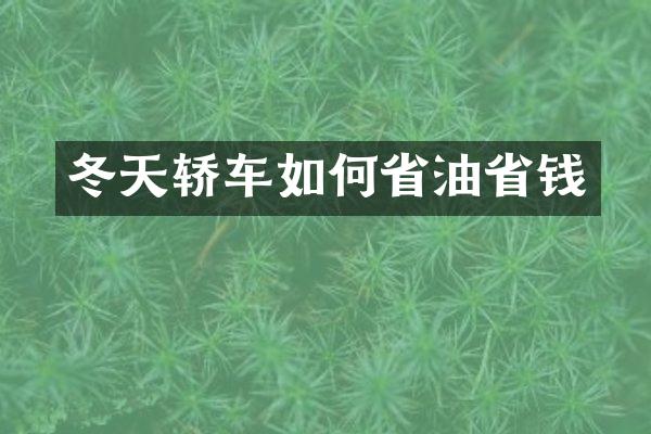 冬天轿车如何省油省钱