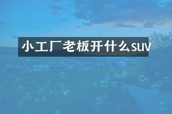 小工厂老板开什么suv