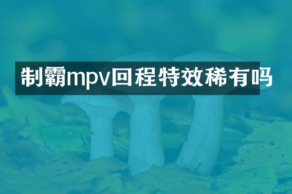 制霸mpv回程特效稀有吗