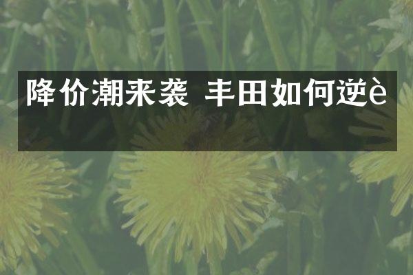 降价潮来袭 丰田如何逆袭