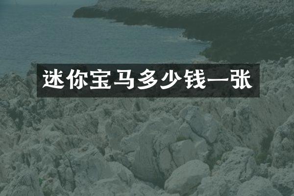 迷你宝马多少钱一张