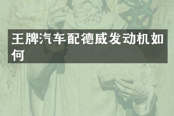 王牌汽车配德威发动机如何