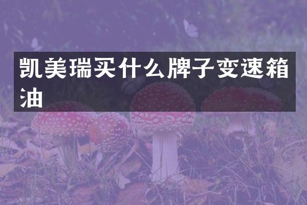 凯美瑞买什么牌子变速箱油