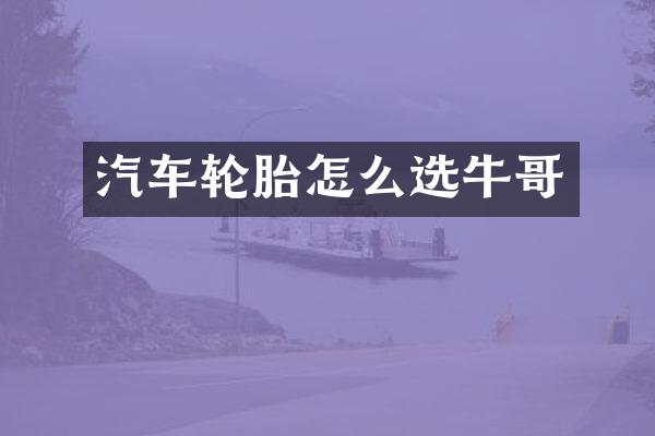 汽车轮胎怎么选牛哥
