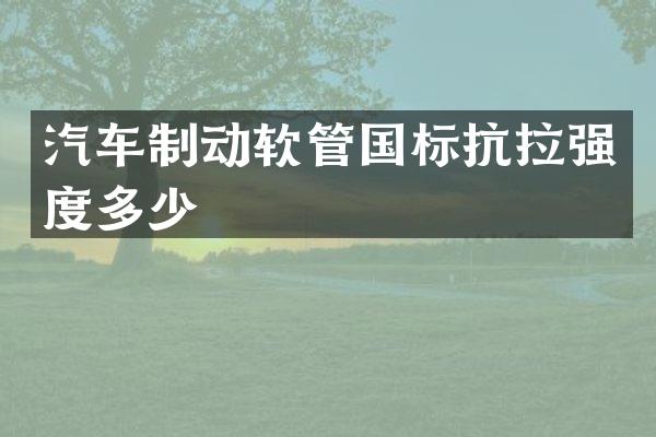 汽车制动软管国标抗拉强度多少