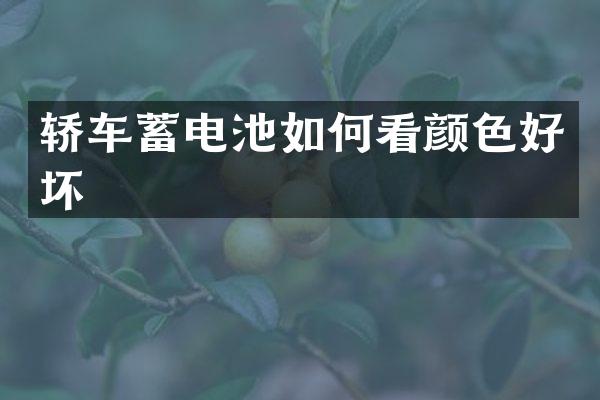 轿车蓄电池如何看颜色好坏