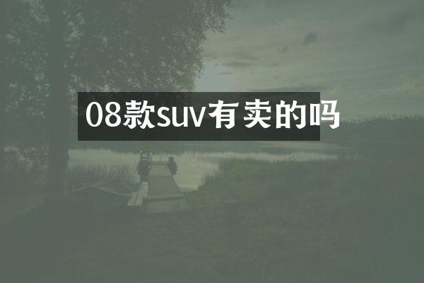 08款suv有卖的吗