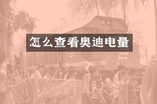 怎么查看奥迪电量