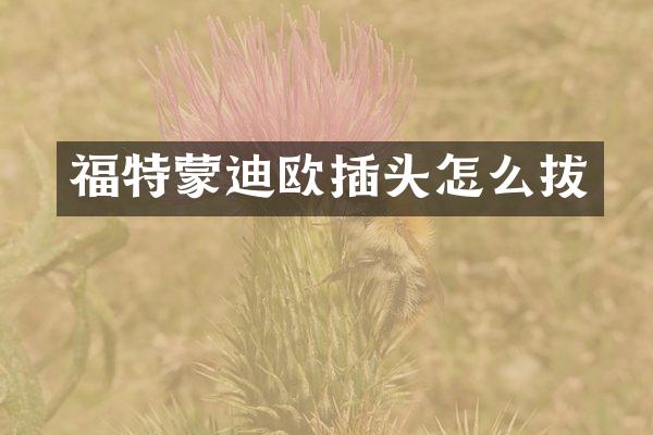 福特蒙迪欧插头怎么拔
