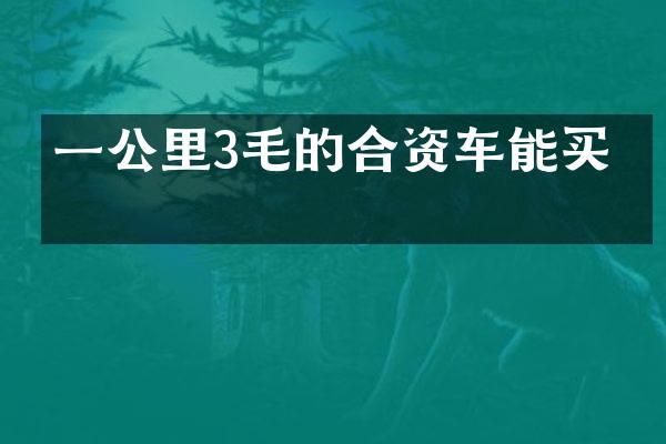 一公里3毛的合资车能买吗