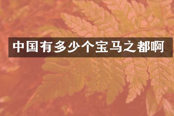 中国有多少个宝马之都啊