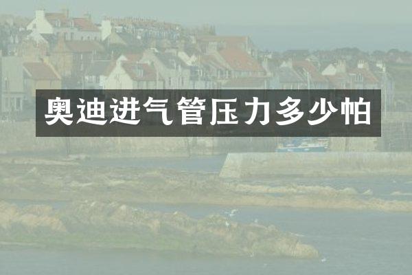 奥迪进气管压力多少帕