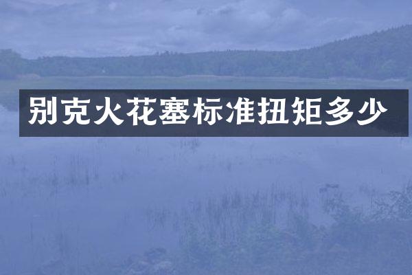 别克火花塞标准扭矩多少