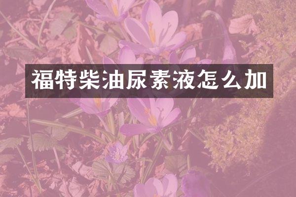 福特柴油尿素液怎么加