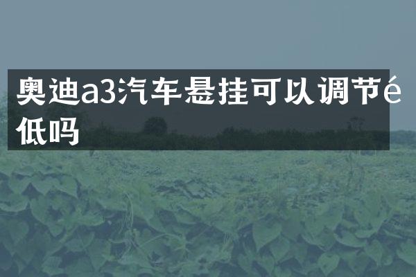 奥迪a3汽车悬挂可以调节高低吗