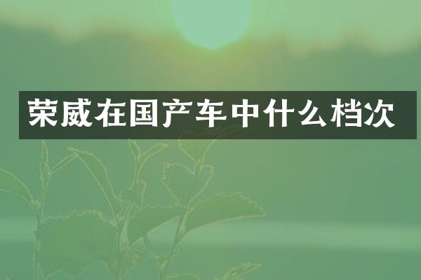 荣威在国产车中什么档次