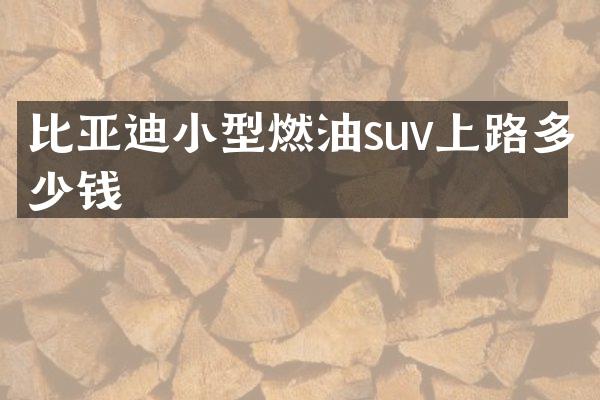 比亚迪小型燃油suv上路多少钱