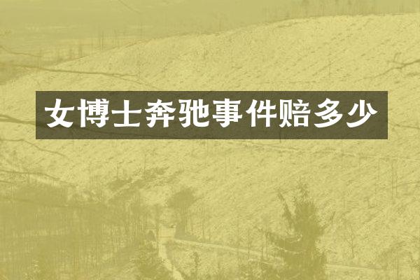 女博士奔驰事件赔多少