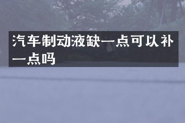 汽车制动液缺一点可以补一点吗
