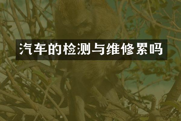 汽车的检测与维修累吗