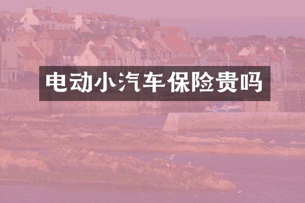 电动小汽车保险贵吗